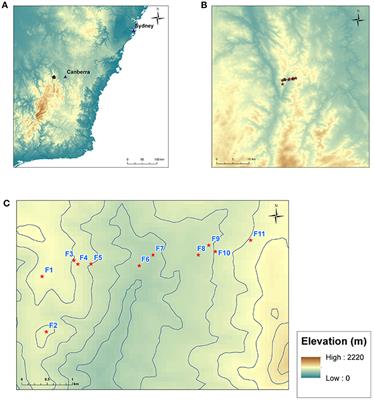 Modeling Wind Direction Distributions Using a Diagnostic Model in the Context of Probabilistic Fire Spread Prediction